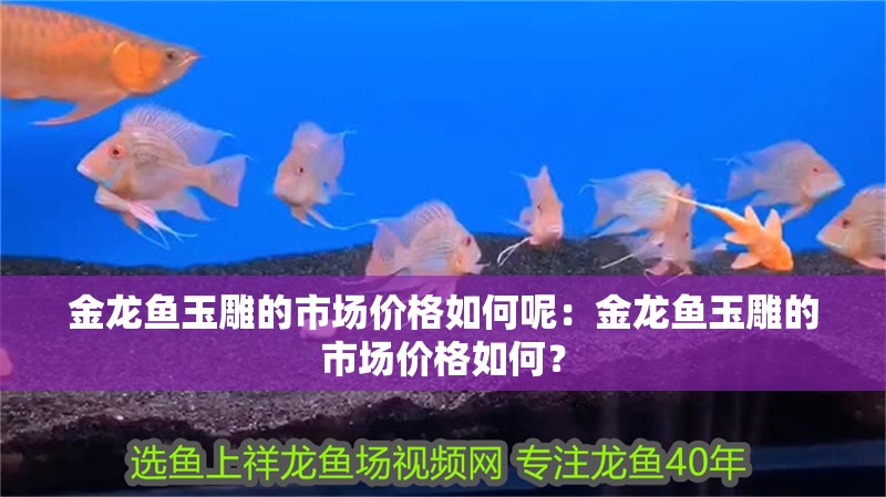 金龍魚玉雕的市場價格如何呢：金龍魚玉雕的市場價格如何？