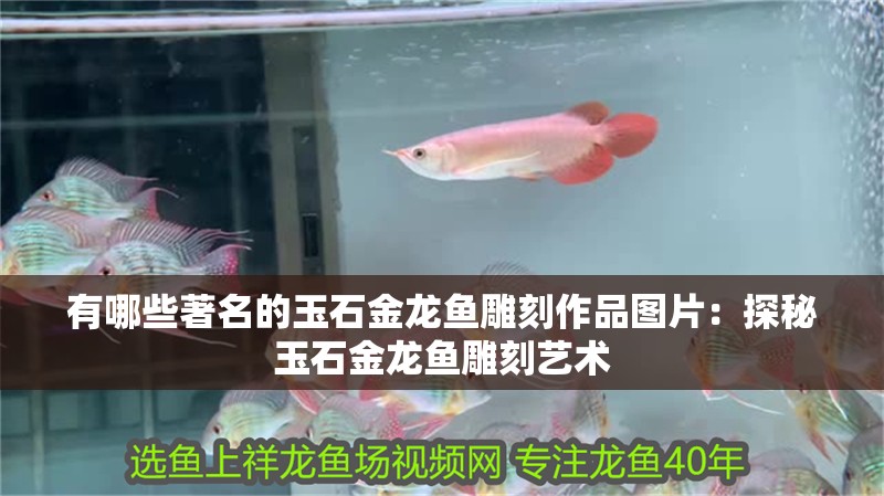 有哪些著名的玉石金龍魚雕刻作品圖片：探秘玉石金龍魚雕刻藝術