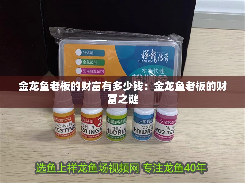 金龍魚老板的財富有多少錢：金龍魚老板的財富之謎
