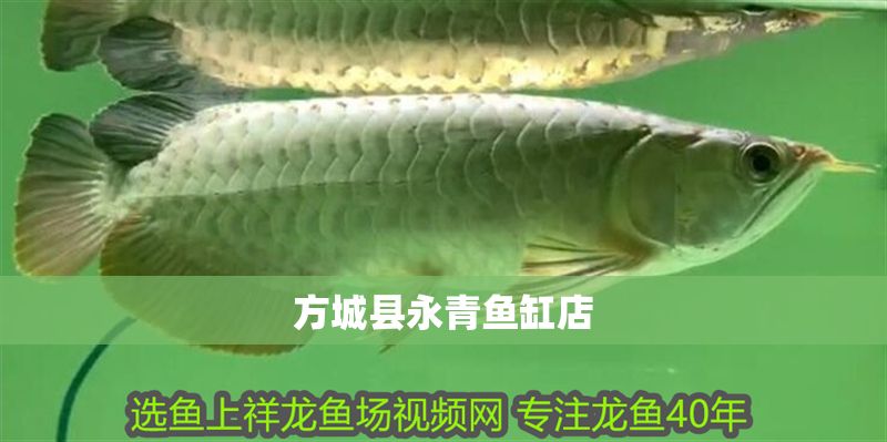<strong><mark>方城</mark></strong>縣永青魚缸店