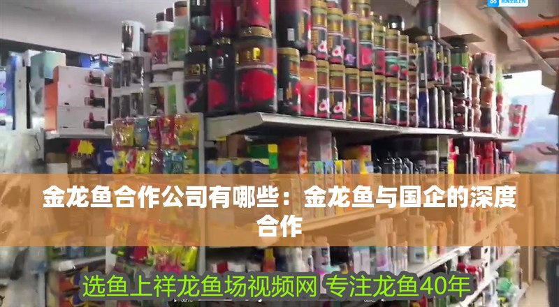 金龍魚合作公司有哪些：金龍魚與國(guó)企的深度合作