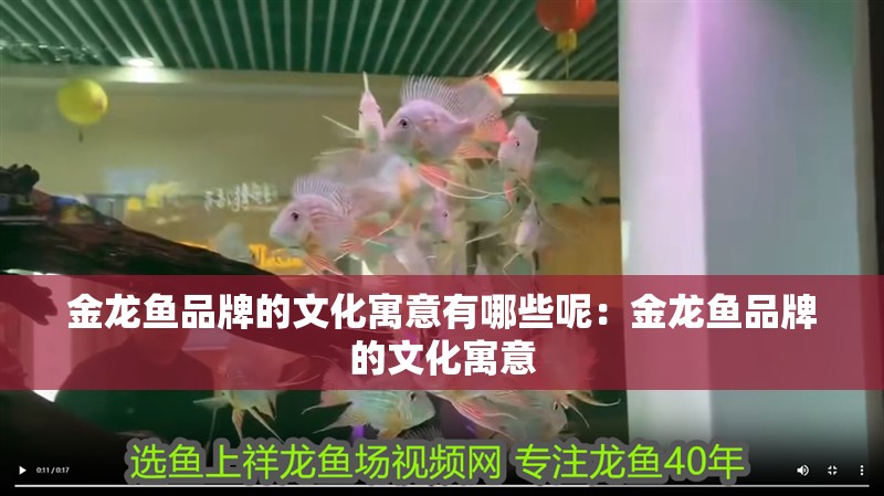 金龍魚品牌的文化寓意有哪些呢：金龍魚品牌的文化寓意