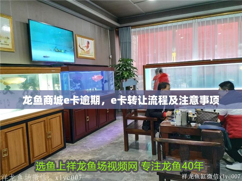 龍魚商城e卡逾期，e卡轉讓流程及注意事項