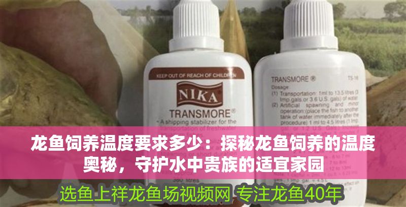 龍魚飼養溫度要求多少：探秘龍魚飼養的溫度奧秘，守護水中貴族的適宜家園