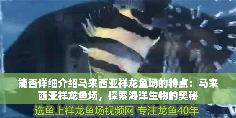 能否詳細介紹馬來西亞祥龍魚場的特點：馬來西亞祥龍魚場，探索海洋生物的奧秘