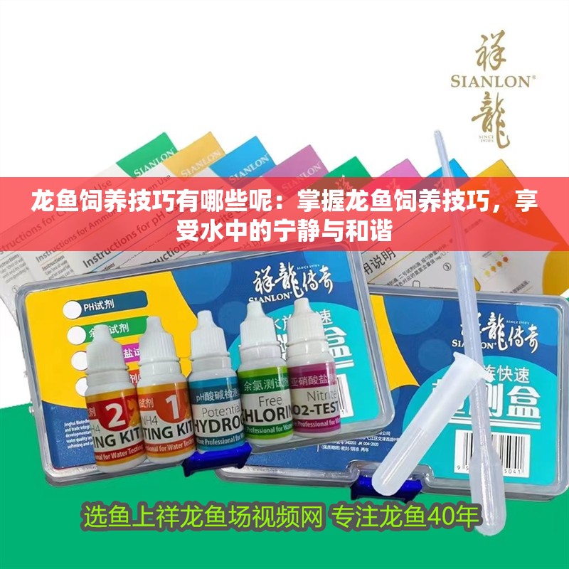龍魚(yú)飼養(yǎng)技巧有哪些呢：掌握龍魚(yú)飼養(yǎng)技巧，享受水中的寧?kù)o與和諧