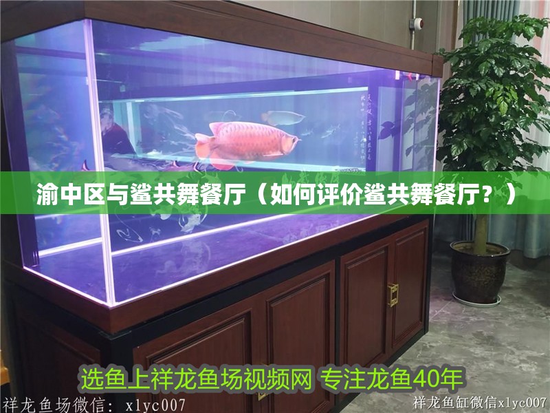 渝中區與鯊共舞餐廳（如何評價鯊共舞餐廳？）