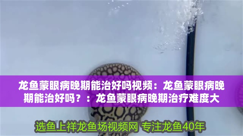 龍魚蒙眼病晚期能治好嗎視頻：龍魚蒙眼病晚期能治好嗎？：龍魚蒙眼病晚期治療難度大