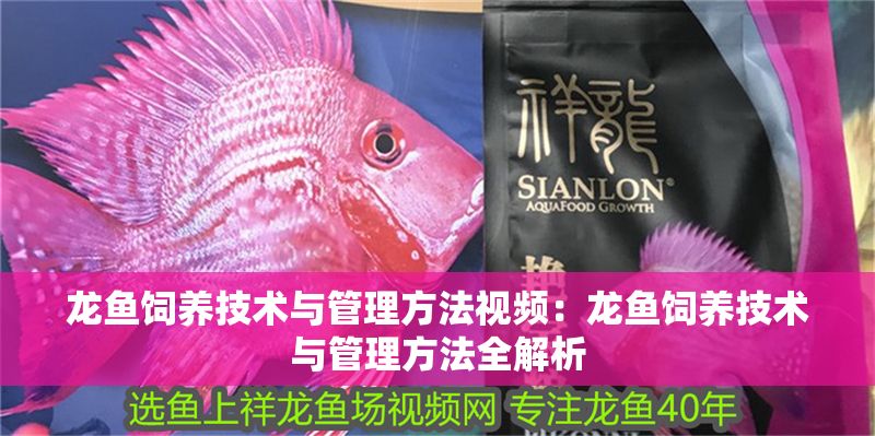 龍魚飼養技術與管理方法視頻：龍魚飼養技術與管理方法全解析