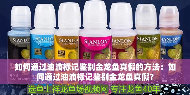 如何通過油滴標記鑒別金龍魚真假的方法：如何通過油滴標記鑒別金龍魚真假？