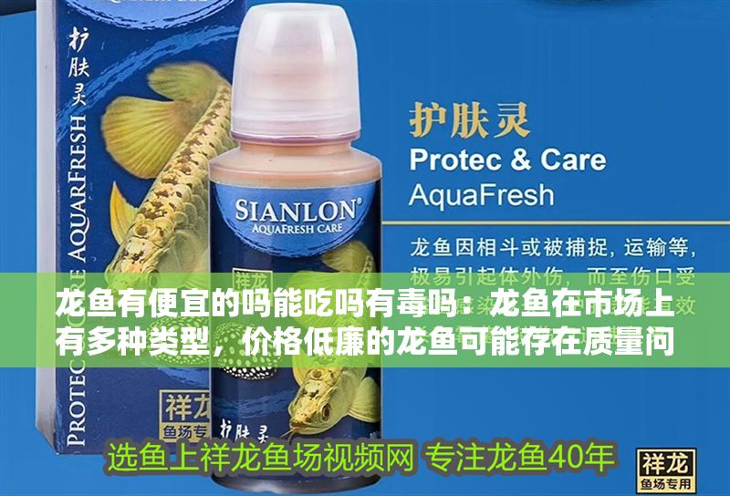 龍魚有便宜的嗎能吃嗎有毒嗎：龍魚在市場上有多種類型，價格低廉的龍魚可能存在質(zhì)量問題