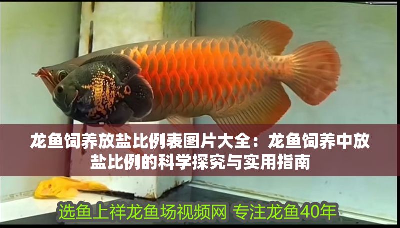 龍魚飼養(yǎng)放鹽比例表圖片大全：龍魚飼養(yǎng)中放鹽比例的科學探究與實用指南