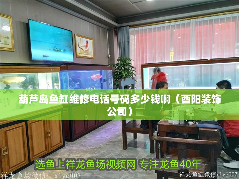 葫蘆島魚缸維修電話號碼多少錢啊（酉陽裝飾公司）