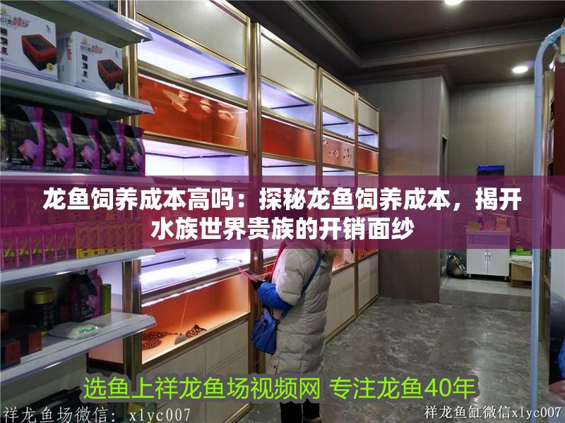 龍魚飼養(yǎng)成本高嗎：探秘龍魚飼養(yǎng)成本，揭開水族世界貴族的開銷面紗