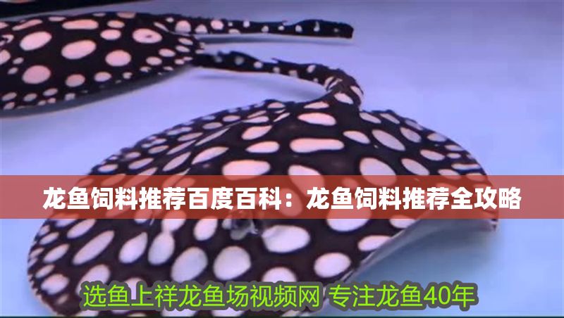 龍魚飼料推薦百度百科:龍魚飼料推薦全攻略 龍魚百科 第1張 龍魚飼料推薦百度百科:龍魚飼料推薦全攻略 龍魚飼料推薦百度百科:龍魚飼料推薦全攻略 龍魚百科 第1張