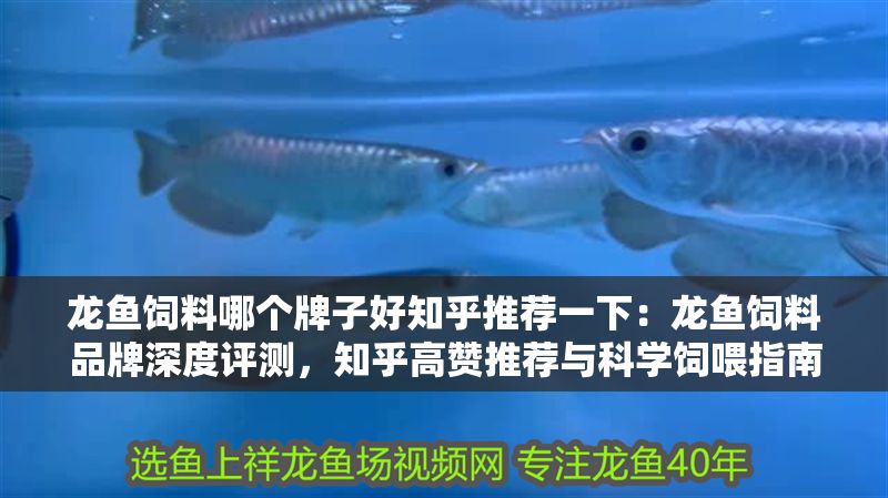 龍魚飼料哪個牌子好知乎推薦一下：龍魚飼料品牌深度評測，知乎高贊推薦與科學飼喂指南
