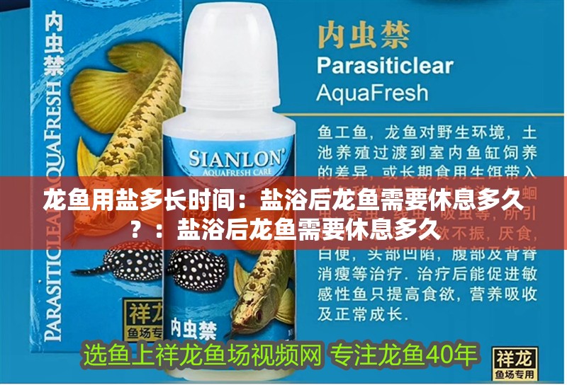 龍魚(yú)用鹽多長(zhǎng)時(shí)間：鹽浴后龍魚(yú)需要休息多久？：鹽浴后龍魚(yú)需要休息多久