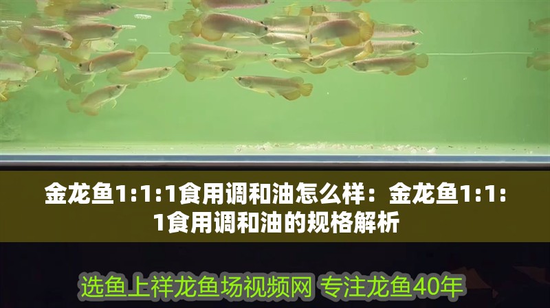 金龍魚1:1:1食用調和油怎么樣：金龍魚1:1:1食用調和油的規格解析