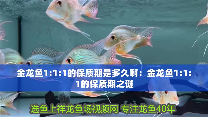 金龍魚1:1:1的保質(zhì)期是多久啊：金龍魚1:1:1的保質(zhì)期之謎