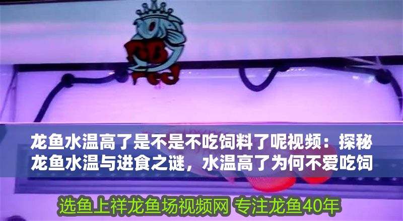 龍魚水溫高了是不是不吃飼料了呢視頻：探秘龍魚水溫與進食之謎，水溫高了為何不愛吃飼料？