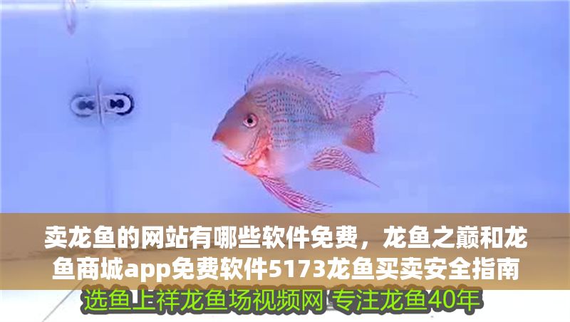 賣龍魚的網站有哪些軟件免費，龍魚之巔和龍魚商城app免費軟件5173龍魚買賣安全指南