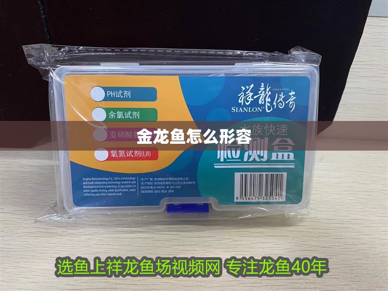 金龍魚怎么形容