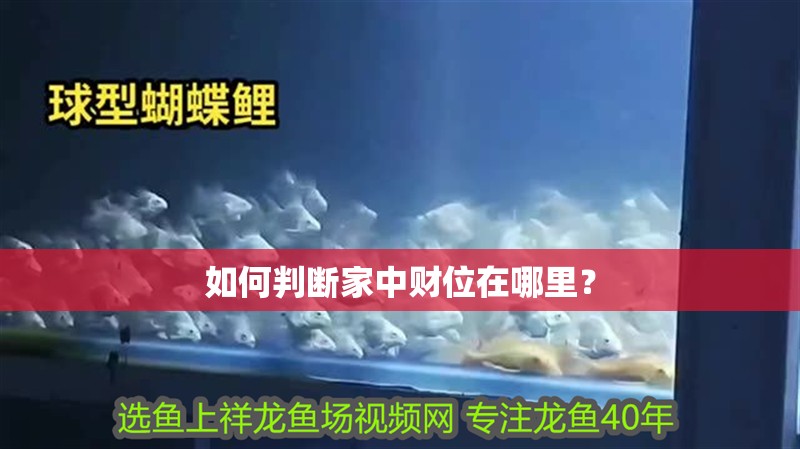 如何判斷家中財(cái)位在哪里？