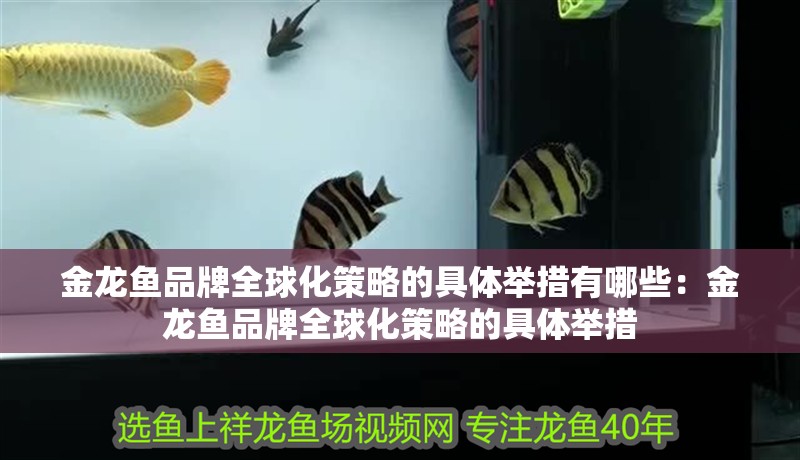 金龍魚品牌全球化策略的具體舉措有哪些：金龍魚品牌全球化策略的具體舉措