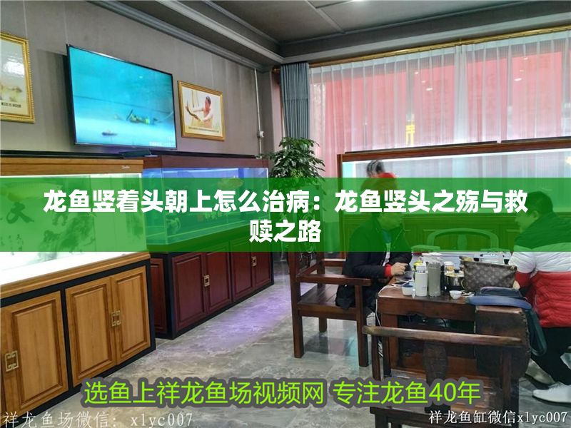 龍魚豎著頭朝上怎么治病：龍魚豎頭之殤與救贖之路