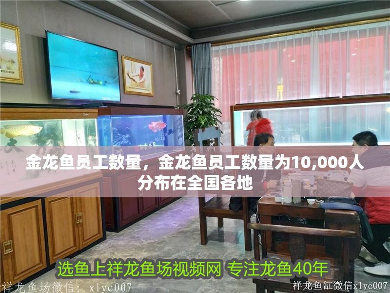 金龍魚員工數量，金龍魚員工數量為10,000人分布在全國各地