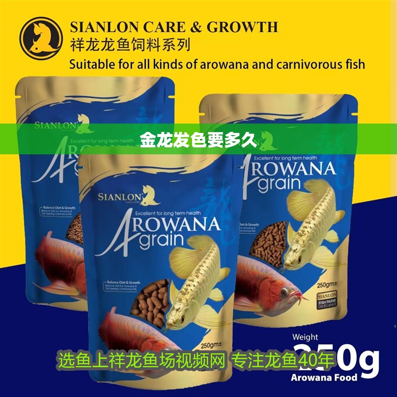 金龍發色要多久