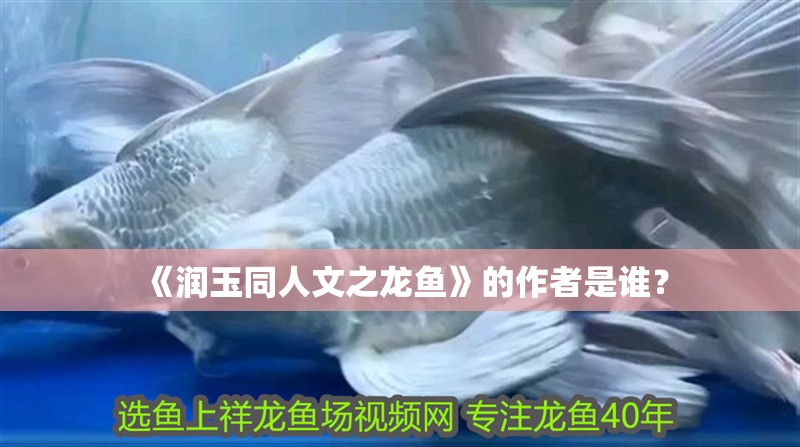 《潤玉同人文之龍魚》的作者是誰？
