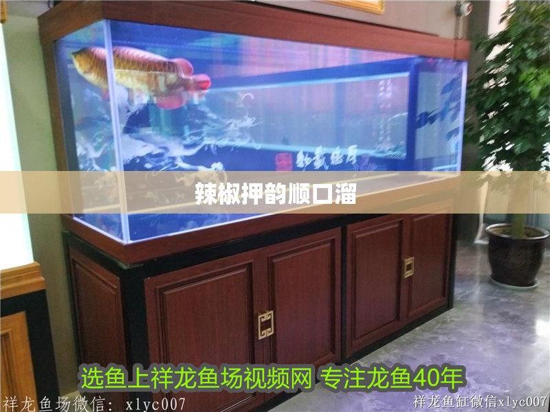 辣椒押韻順口溜