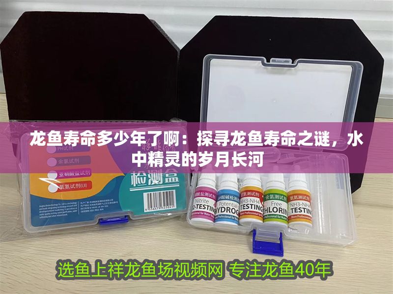 龍魚壽命多少年了啊：探尋龍魚壽命之謎，水中精靈的歲月長河