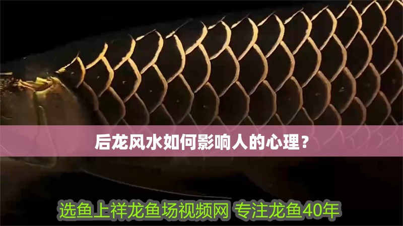 后龍風水如何影響人的心理？