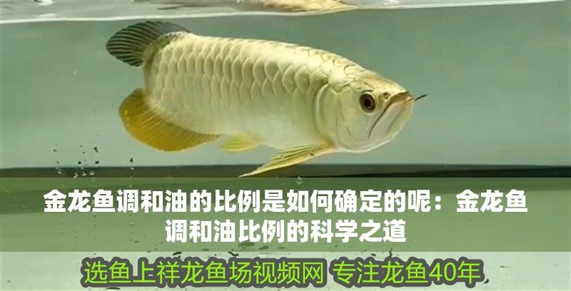 金龍魚調和油的比例是如何確定的呢：金龍魚調和油比例的科學之道