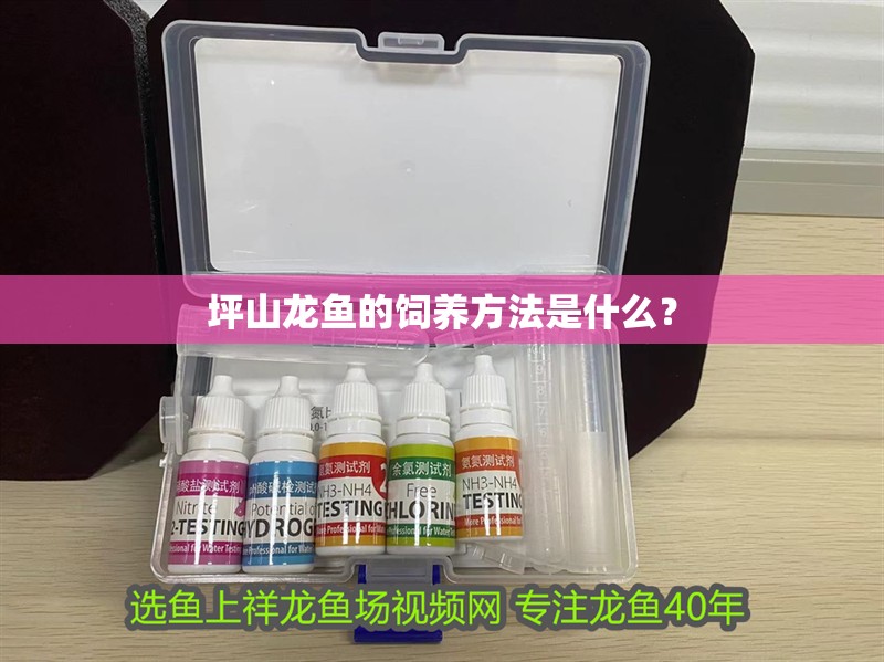 <strong><mark>坪山</mark></strong>龍魚的飼養方法是什么？