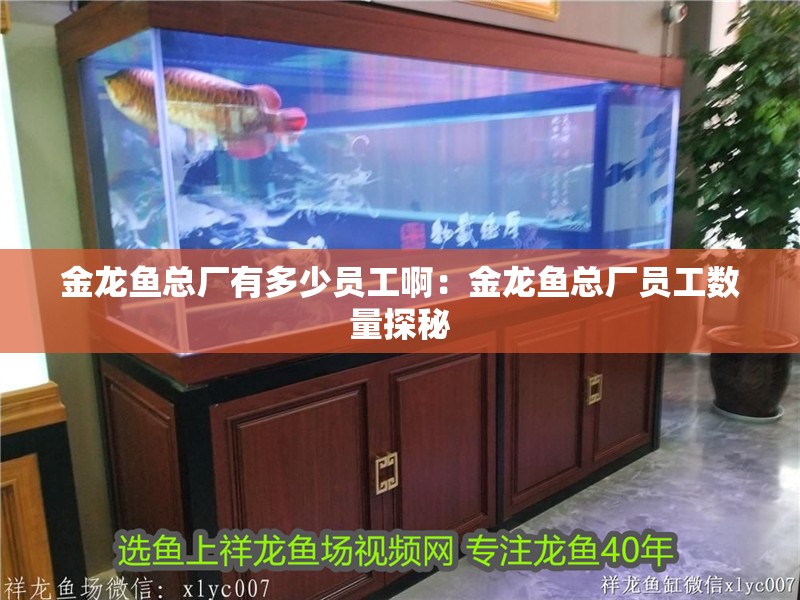 金龍魚總廠有多少員工啊：金龍魚總廠員工數量探秘