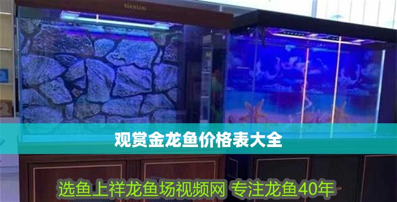觀賞金龍魚價格表大全