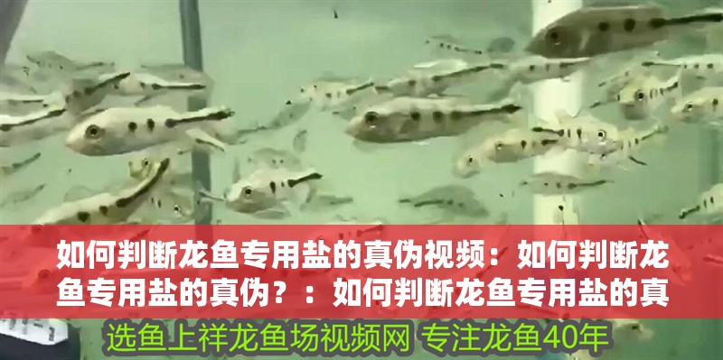 如何判斷龍魚專用鹽的真偽視頻：如何判斷龍魚專用鹽的真偽？：如何判斷龍魚專用鹽的真偽