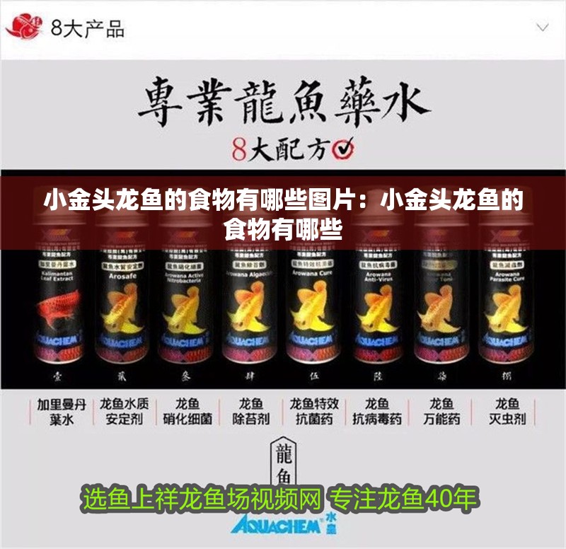 小金頭龍魚的食物有哪些圖片：小金頭龍魚的食物有哪些