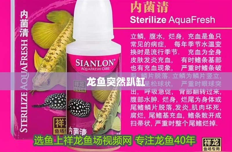 龍魚突然趴缸 龍魚突然趴缸 龍魚百科