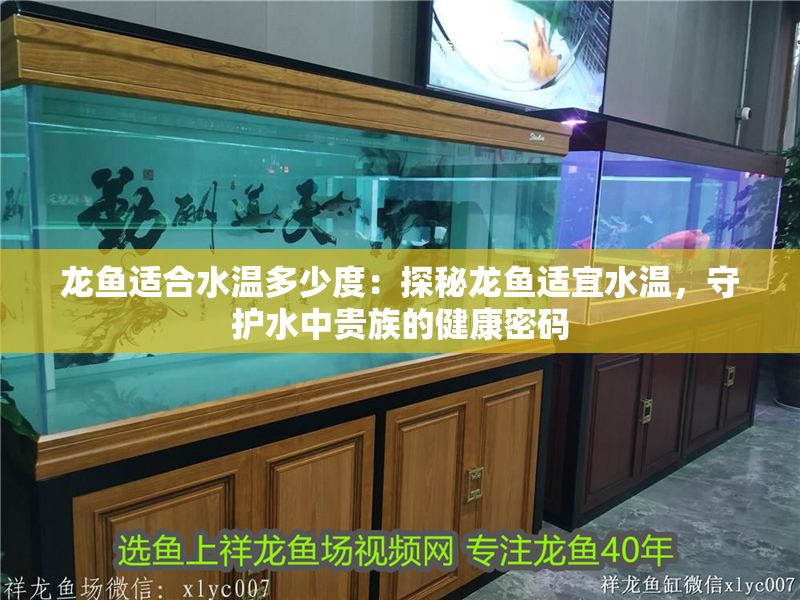 龍魚適合水溫多少度：探秘龍魚適宜水溫，守護水中貴族的健康密碼