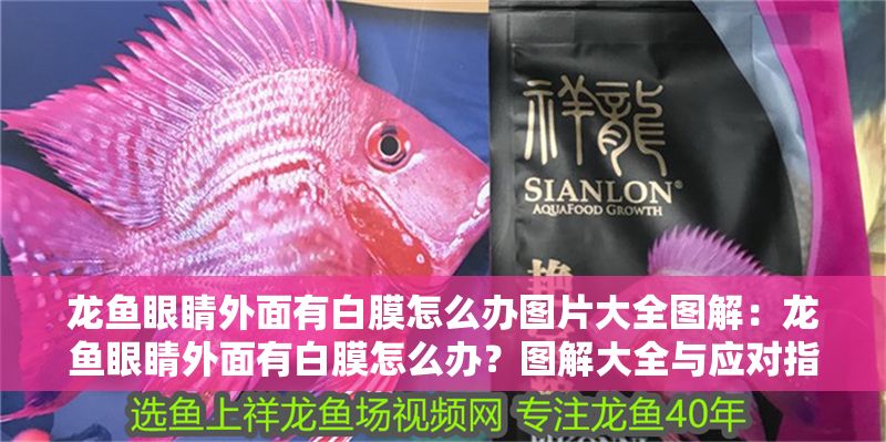 龍魚眼睛外面有白膜怎么辦圖片大全圖解：龍魚眼睛外面有白膜怎么辦？圖解大全與應對指南