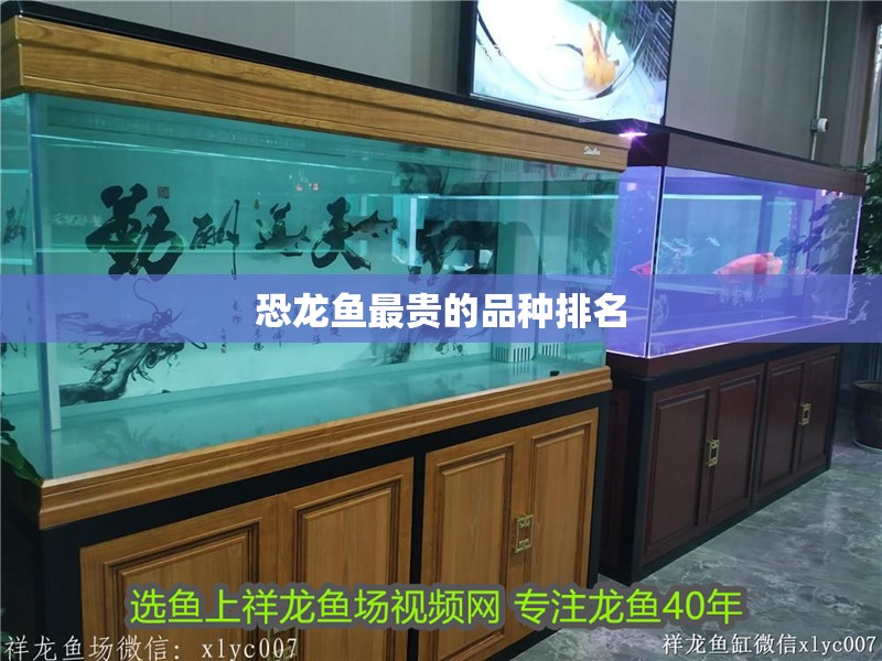 恐龍魚最貴的品種排名