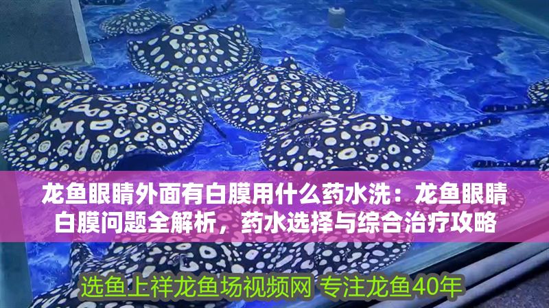 龍魚眼睛外面有白膜用什么藥水洗：龍魚眼睛白膜問題全解析，藥水選擇與綜合治療攻略