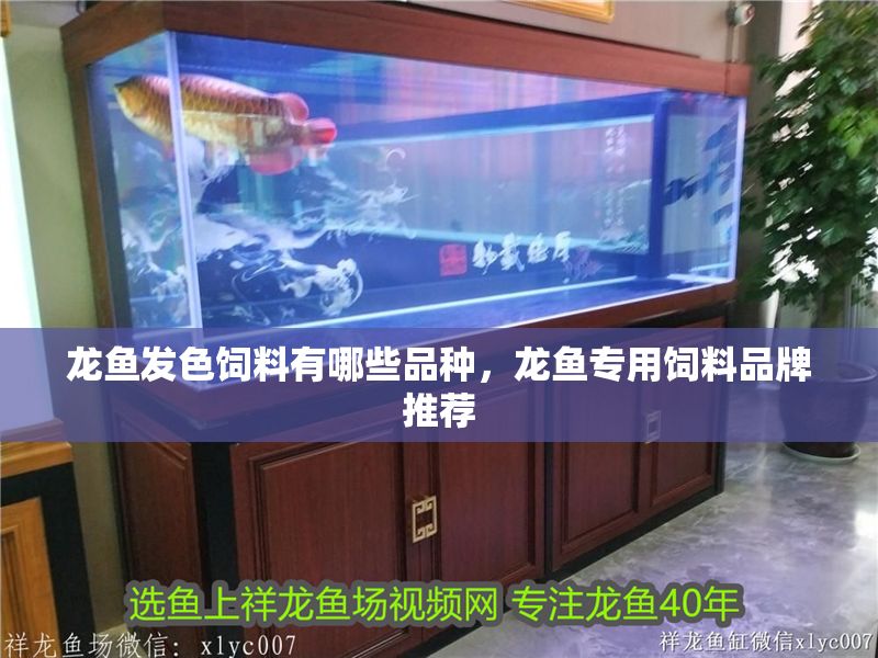 龍魚發(fā)色飼料有哪些品種，龍魚專用飼料品牌推薦