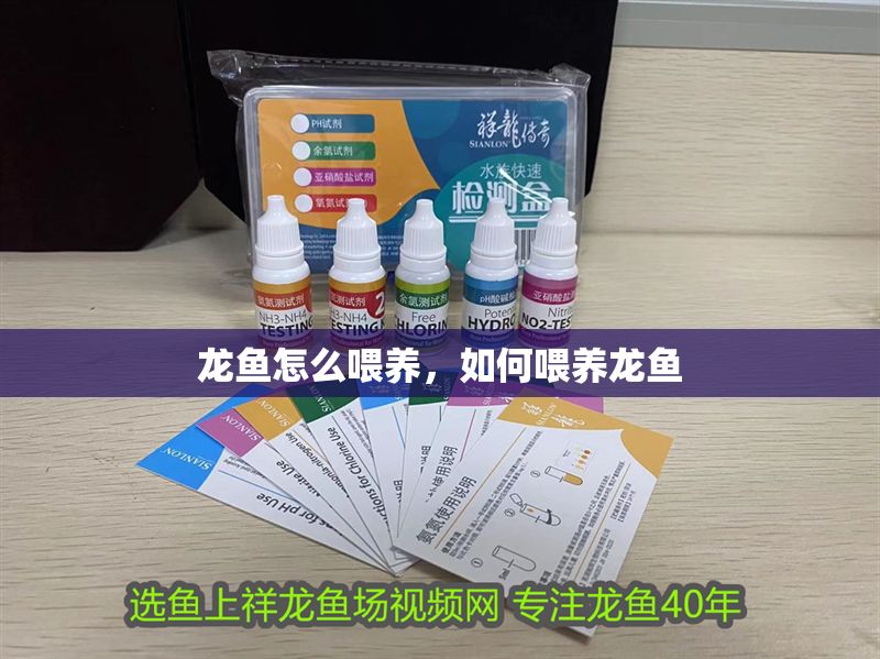 龍魚怎么喂養，如何喂養龍魚 龍魚怎么喂養，如何喂養龍魚 龍魚百科 第2張
