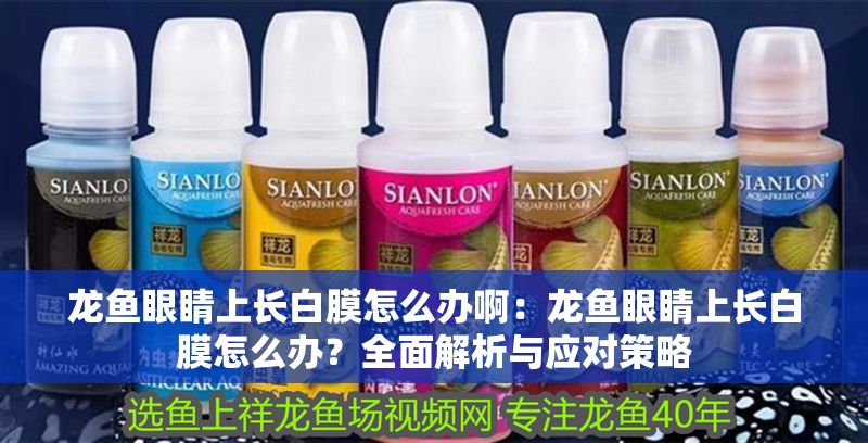 龍魚眼睛上長白膜怎么辦啊：龍魚眼睛上長白膜怎么辦？全面解析與應對策略