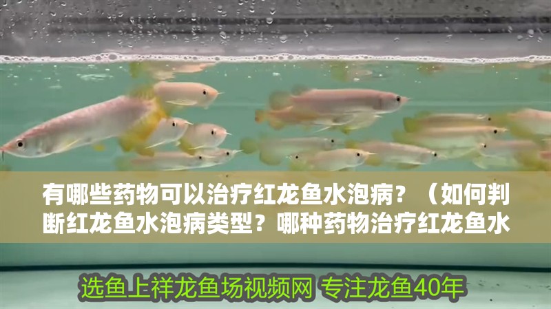 有哪些藥物可以治療紅龍魚水泡病？（如何判斷紅龍魚水泡病類型？哪種藥物治療紅龍魚水泡病最有效？）